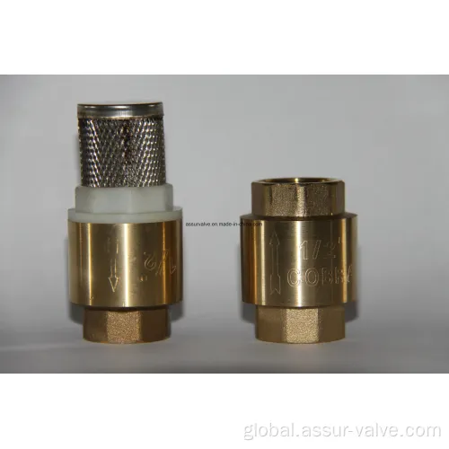 Pvc Spring Check Valves Brass Water Check Valves with Stainless Steel Net Manufactory
